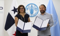 Panamá y la FAO estrechan alianza para enfrentar la pesca ilegal